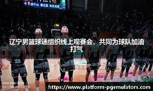 辽宁男篮球迷组织线上观赛会，共同为球队加油打气