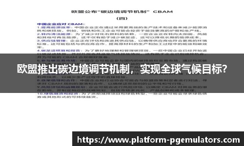 欧盟推出碳边境调节机制，实现全球气候目标？